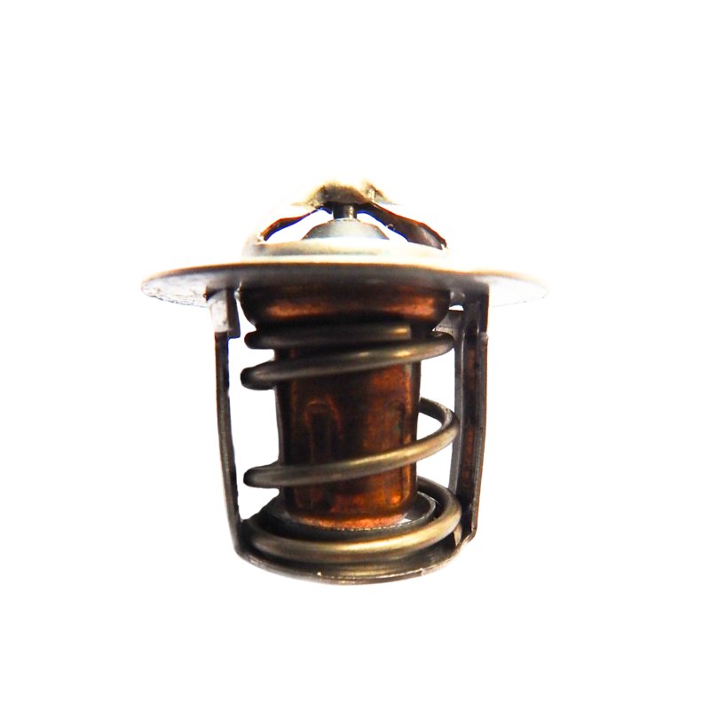 Termostat 15531-73014